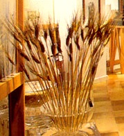 musee_1.jpg