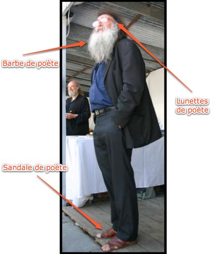 Cas d'un poète à barbe